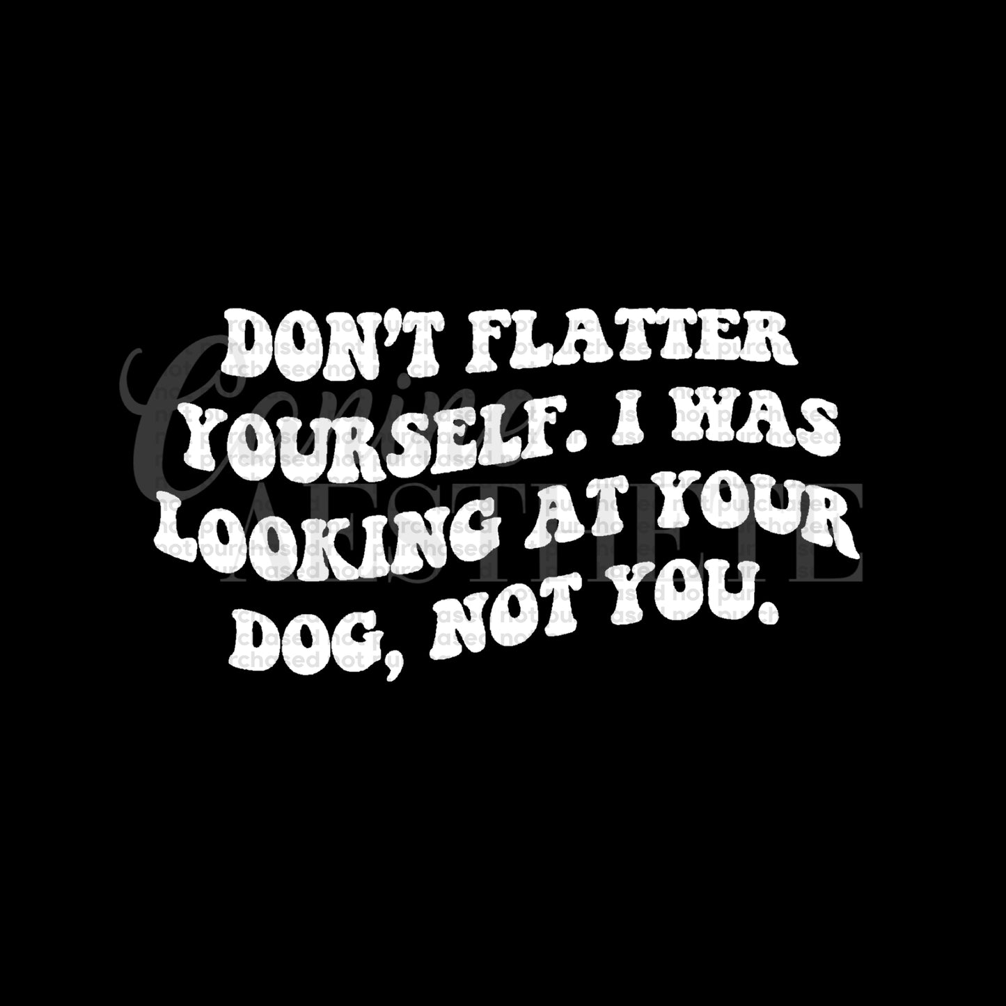Don’t Flatter Yourself Tee