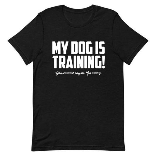 My Dog Is Training! You Cannot Say Hi. Go Away. Tee