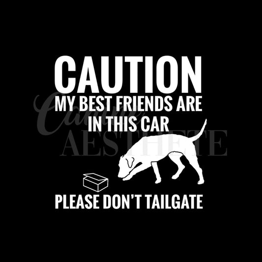 Caution: My Best Friends Are In This Car Decal | Nosework