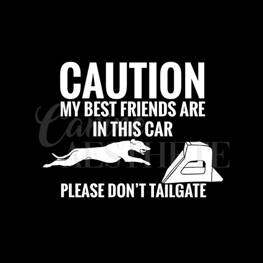 Caution: My Best Friends Are In This Car Decal | Flyball