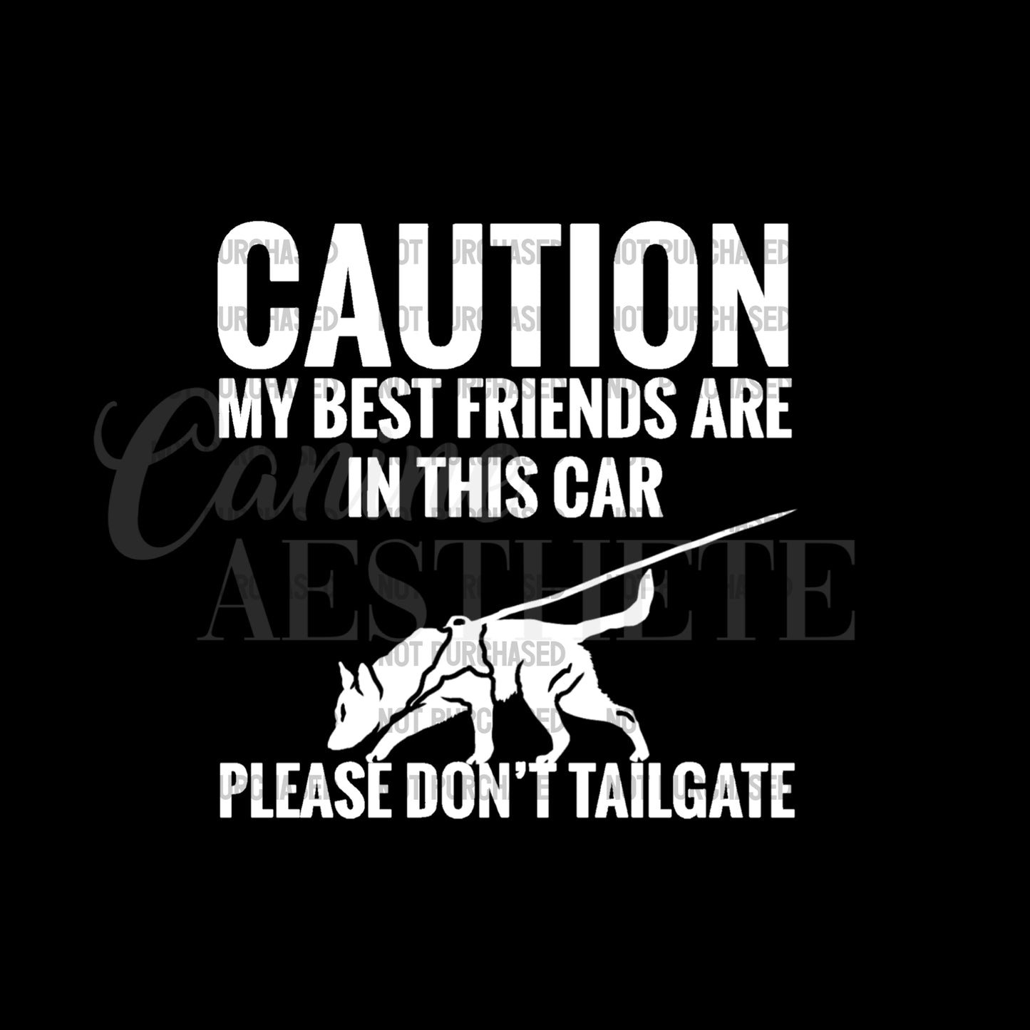 Caution: My Best Friends Are In This Car Decal | Tracking