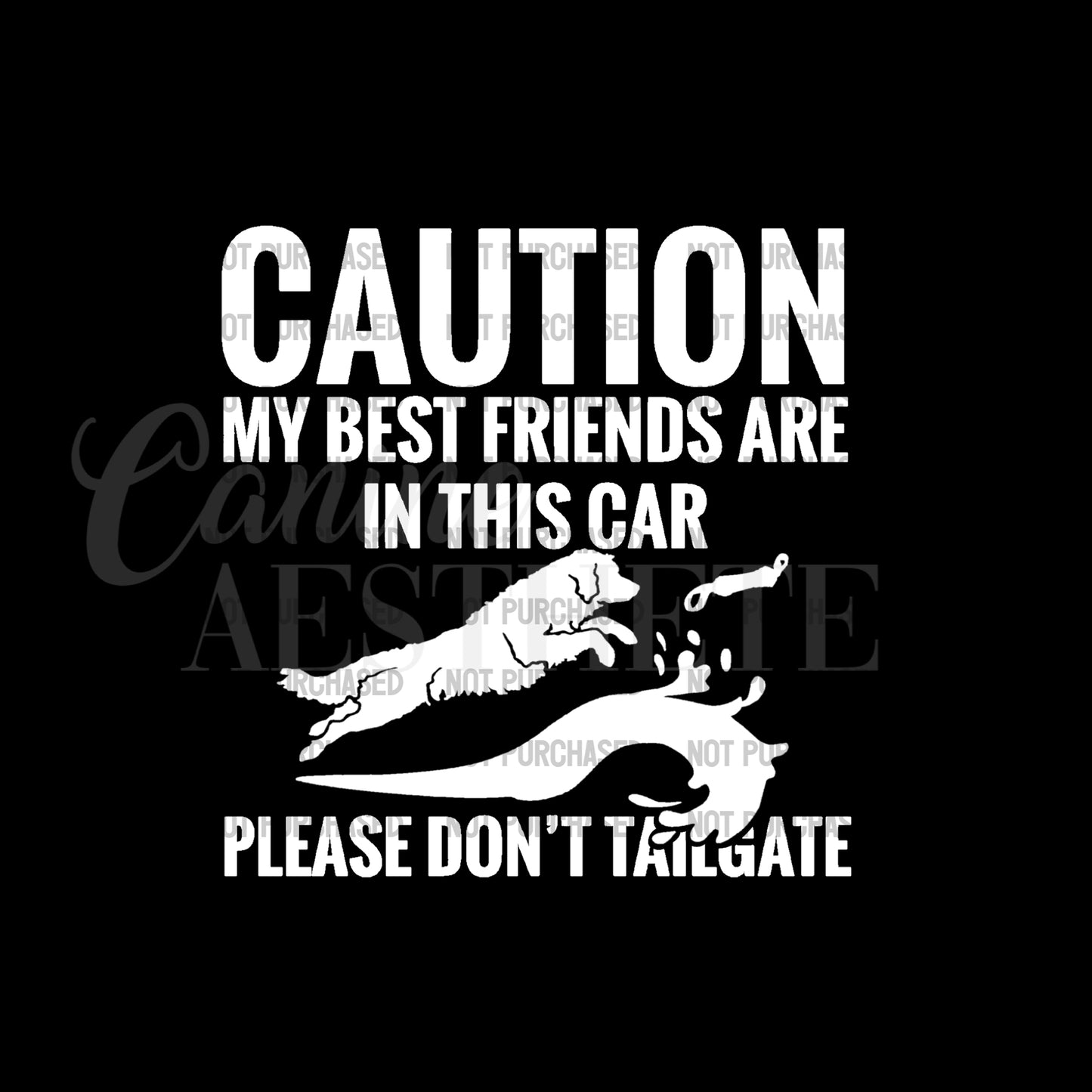 Caution: My Best Friends Are In This Car Decal | Dock Dogs