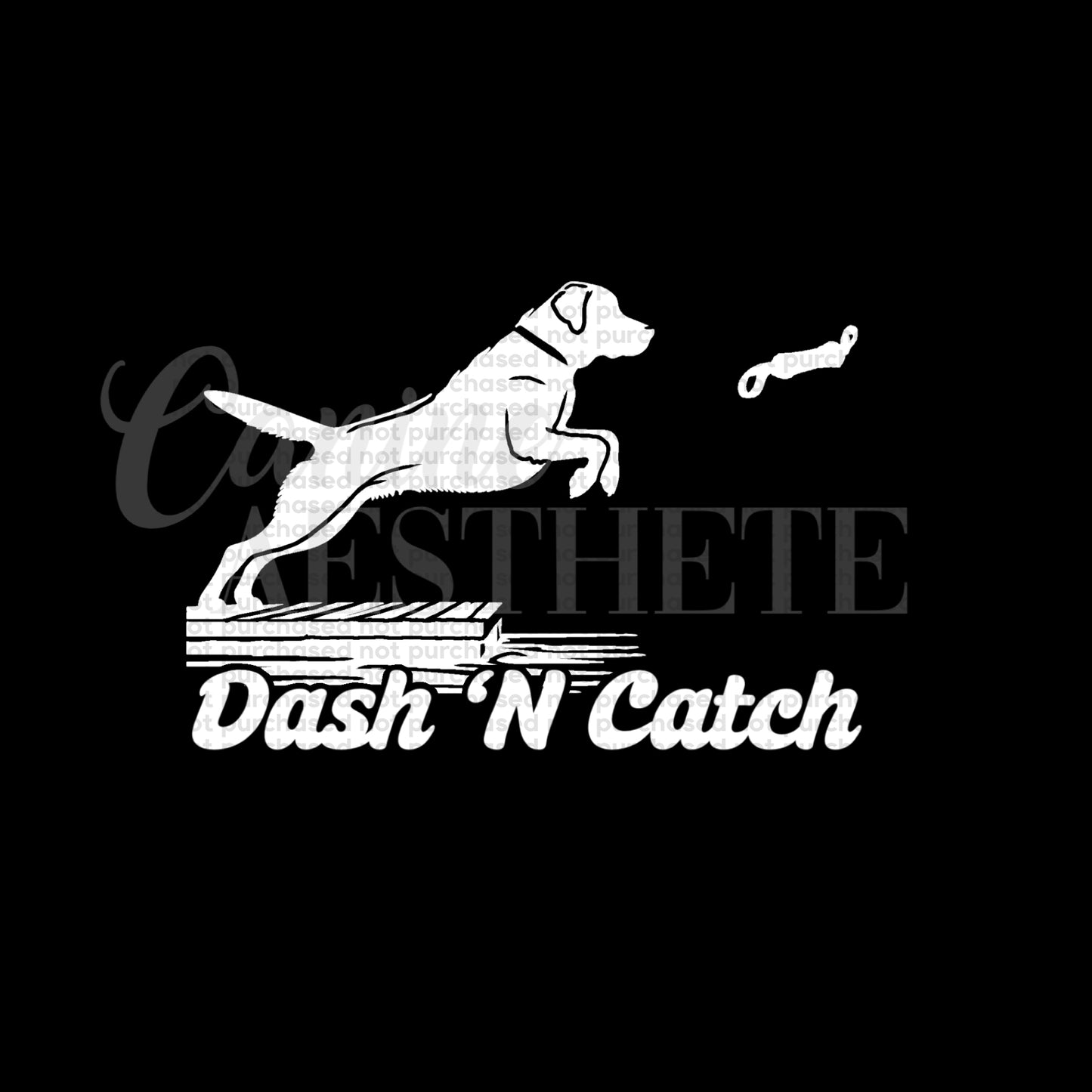 Dash ‘N Catch Decal