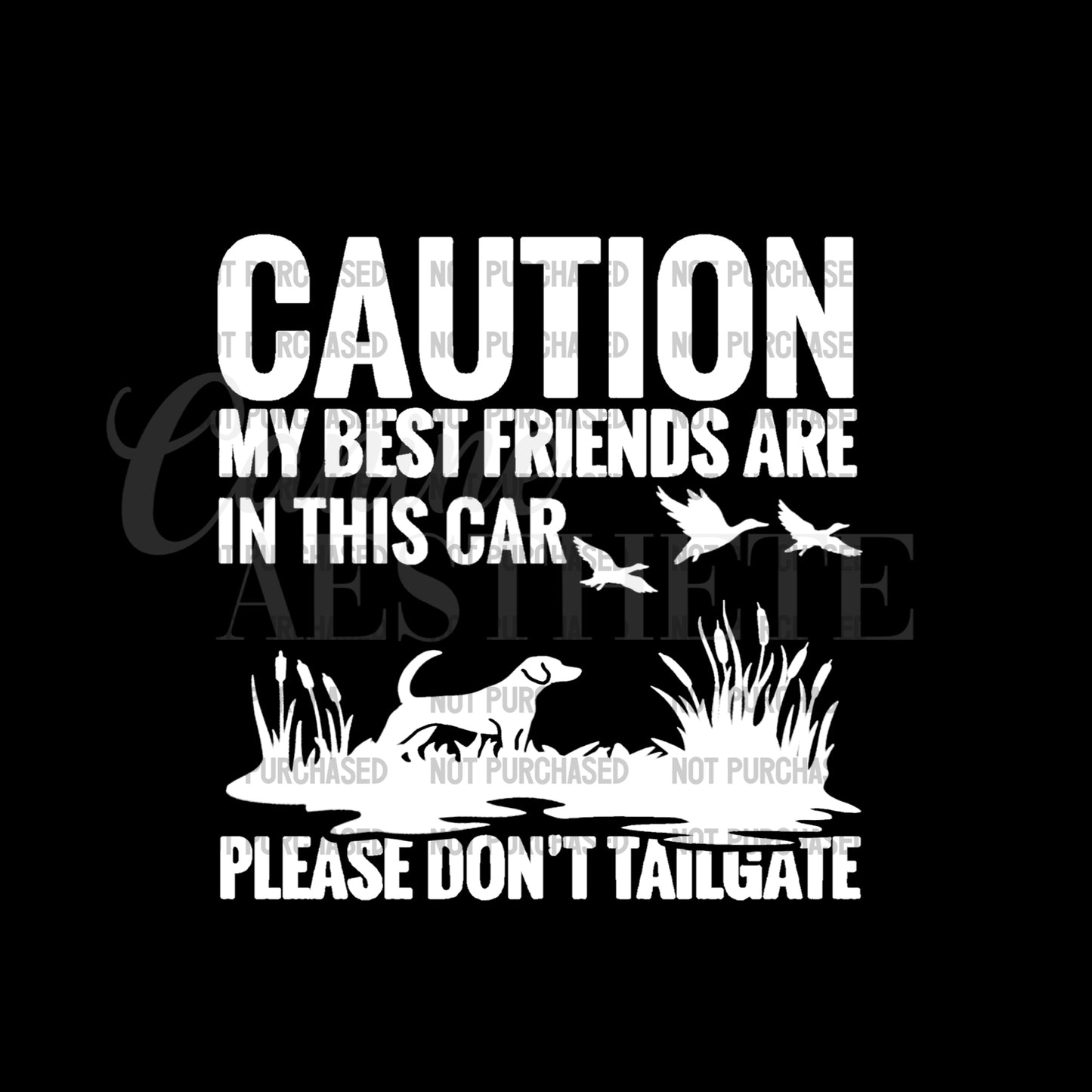 Caution: My Best Friends Are In This Car Decal | Bird Dog