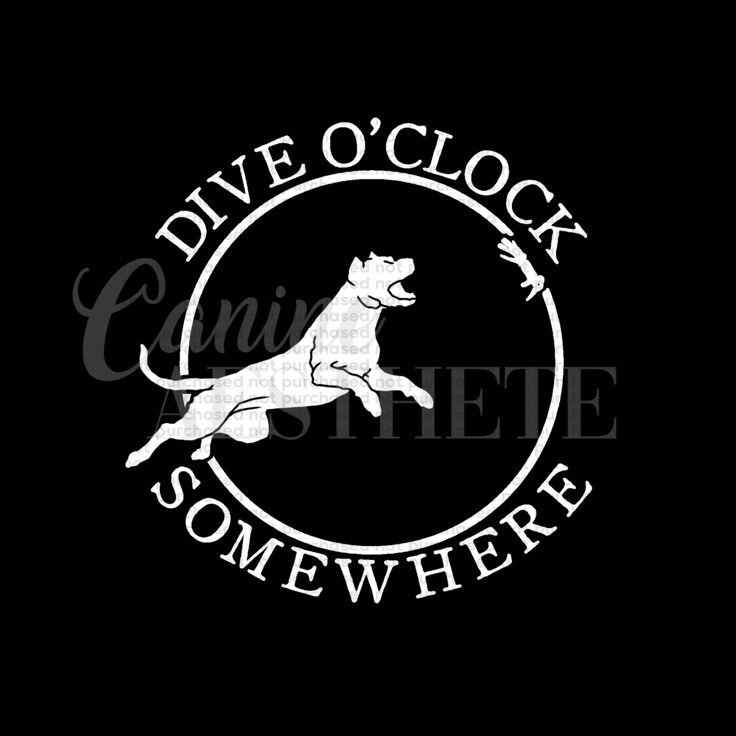 Dive O’ Clock Somewhere