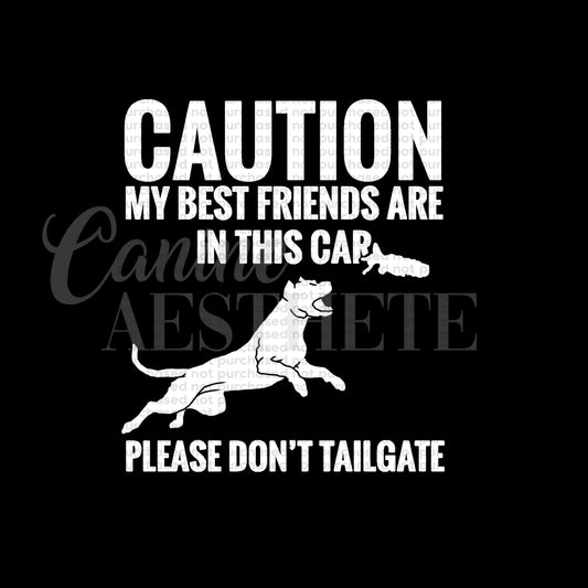 Caution: My Best Friends Are In This Car Decal | Dock Dogs