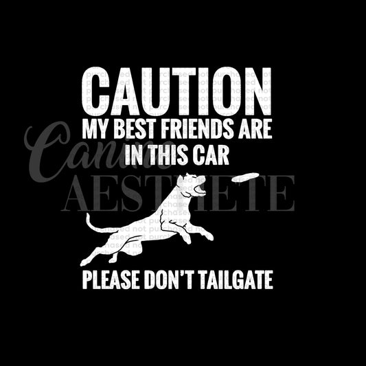 Caution: My Best Friends Are In This Car Decal | Disc Dog