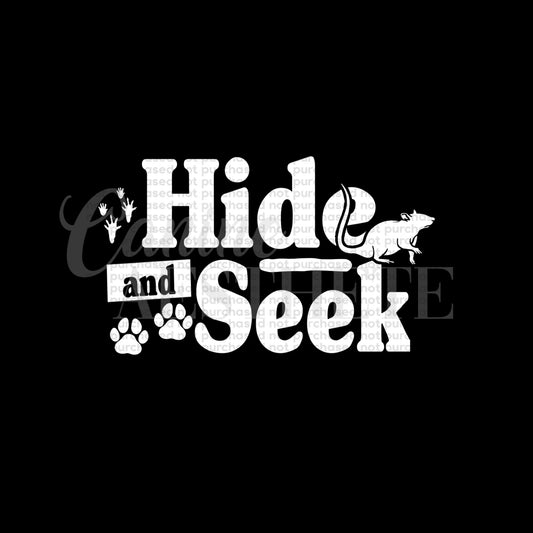 Hide and Seek Decal