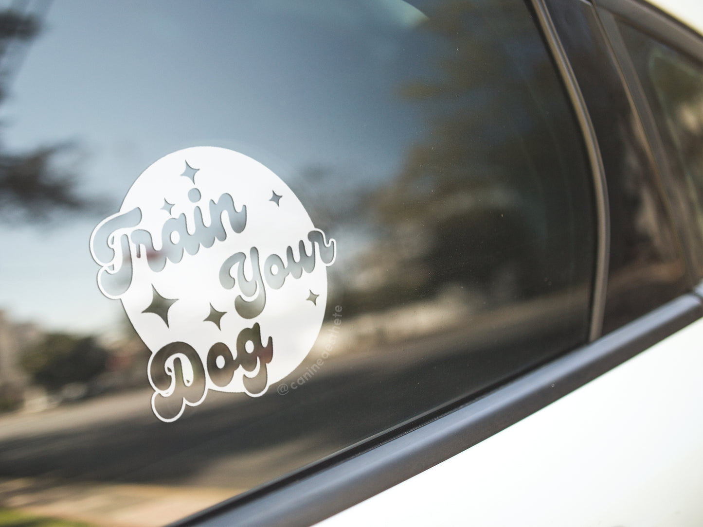 Train Your Dog Decal