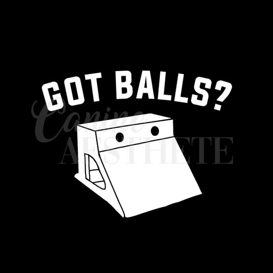 Got Balls? Decal 🎾