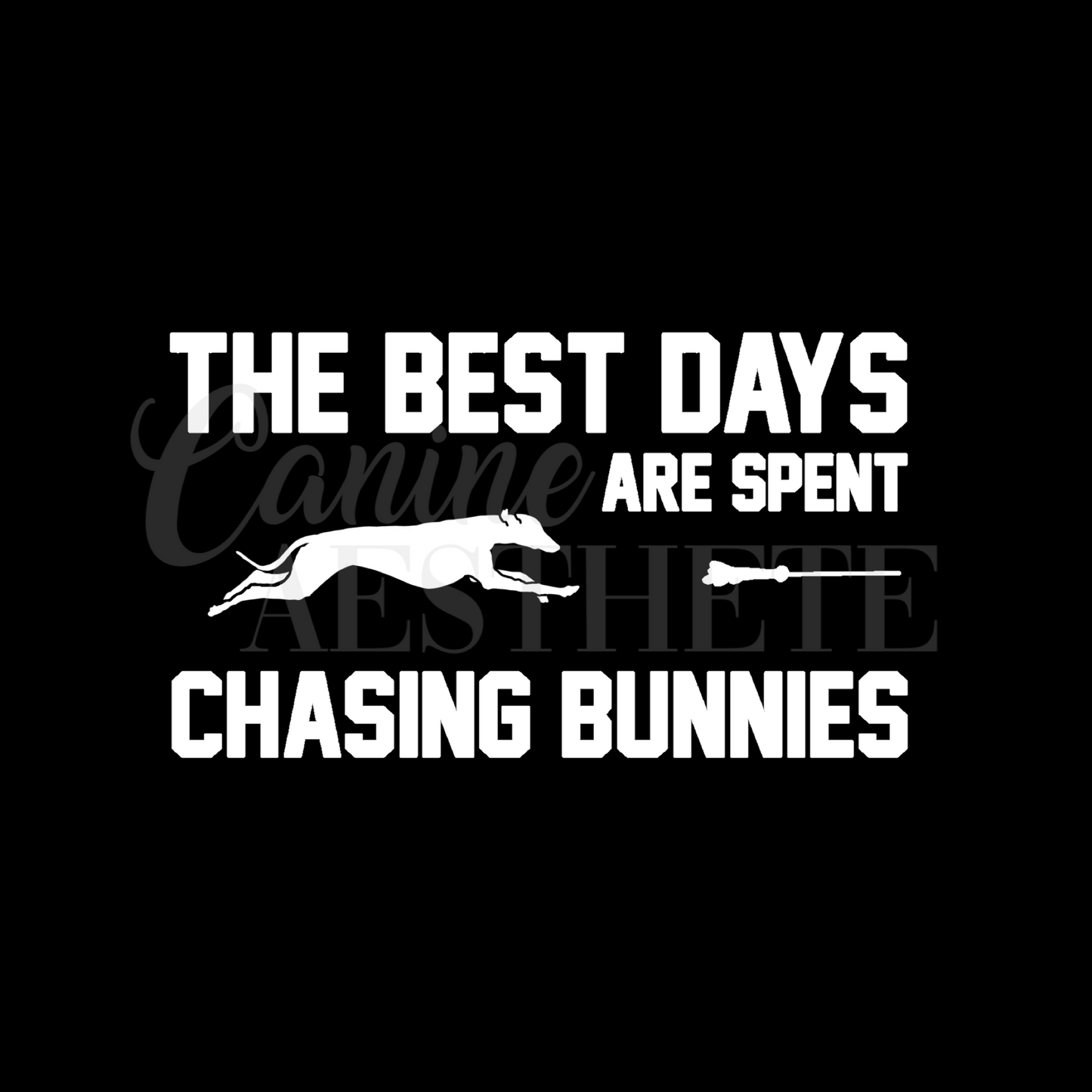 Chasing Bunnies Decal