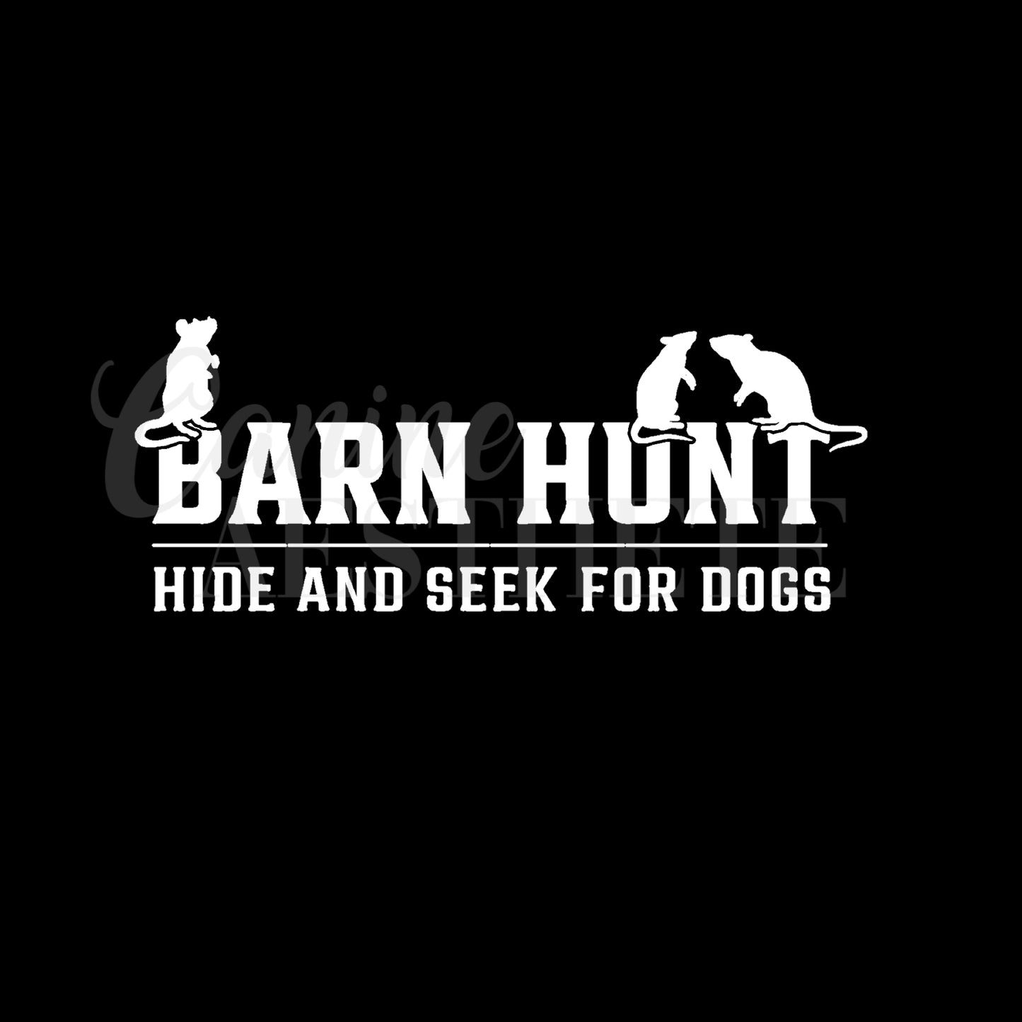 Hide and Seek Decal